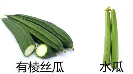香丝瓜和长丝瓜的区别