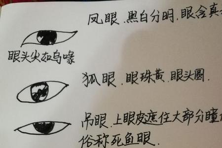 叶修是丹凤眼吗