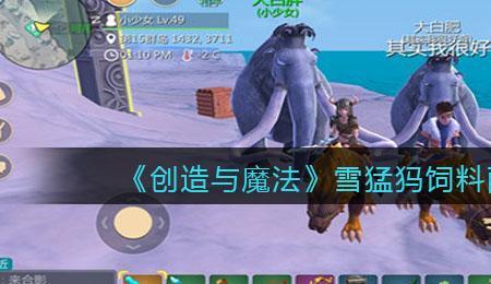创造与魔法雪熊保底是多少包