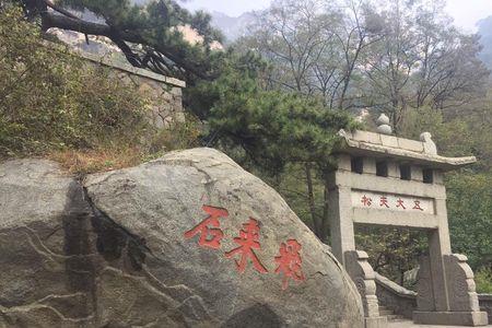 泰山长胜怎么样