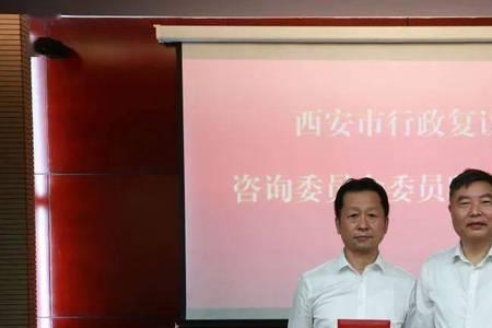 咨询委是属于什么机构