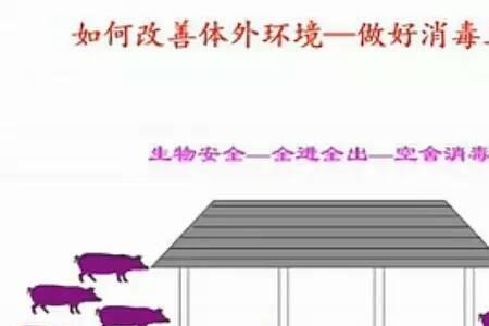 花小猪消毒工具怎么上传