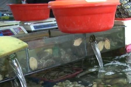 南宁海鲜批发市场价目表