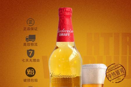 国威纯生啤酒怎么样