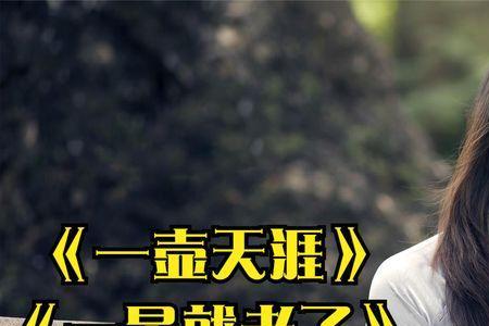 歌曲一壶天涯什么意思