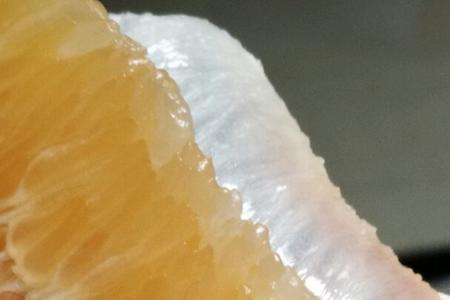 柚子为什么叫香橙