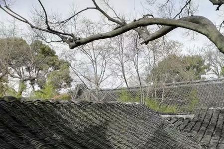 烟雨青黛的含义