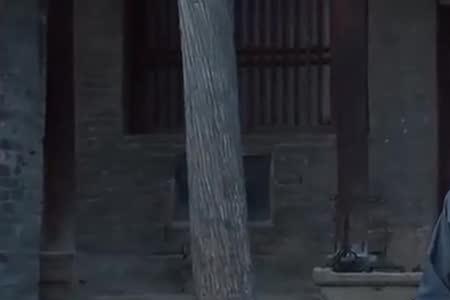 白鹿原中孝文和孝武是谁的儿子