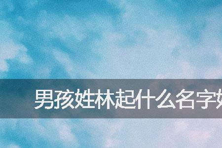 姓林的林怎么造句