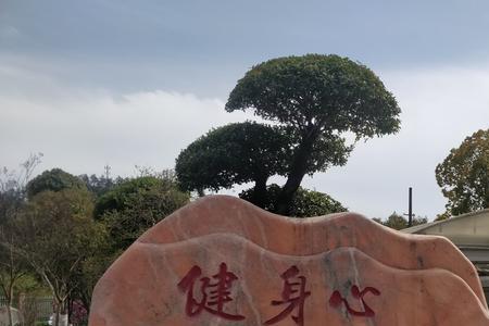 学校门口的大石头叫什么