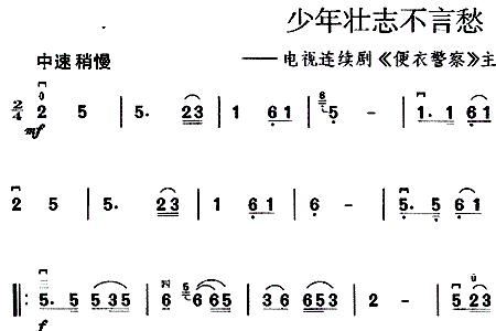 少年壮志不言愁歌曲总结