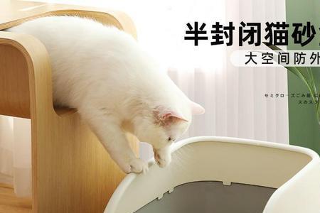 猫在房间睡觉要放猫砂盆吗