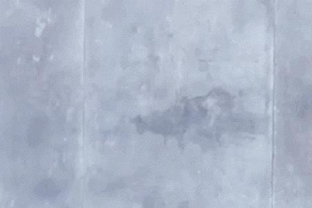 12岁孩子可以做平板支撑吗