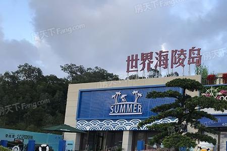 中集碧桂园属于碧桂园吗