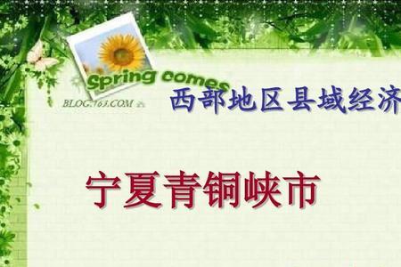 银川的经济靠什么