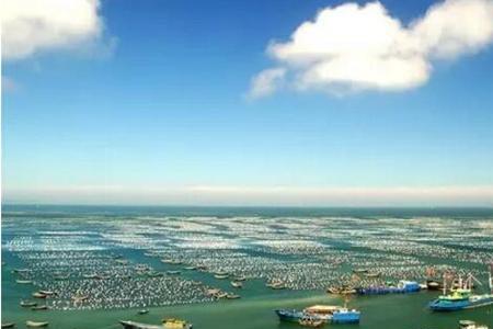 潮汐为什么能发展海水养殖