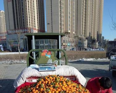 今年在温州摆地摊卖水果怎么样