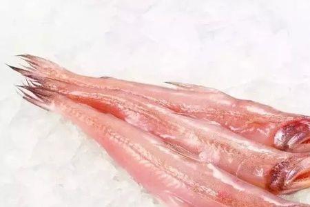 龙头鱼属性