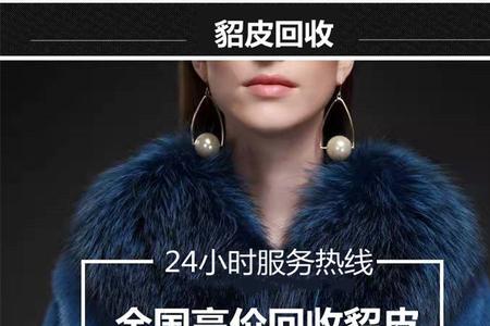 长春哪里买貂靠谱