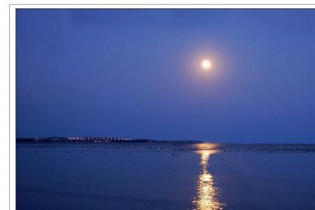 夜晚大海波光粼粼语句