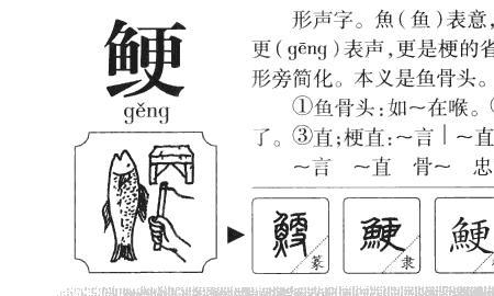 角殷组词