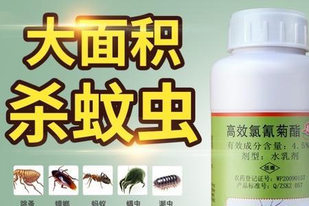 粮食生虫用什么杀虫药