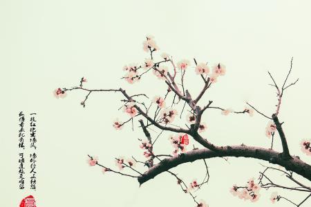 一枝红杏要出墙来打一成语