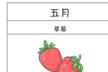 12个月水果种植表