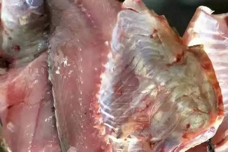 醡肉的来源