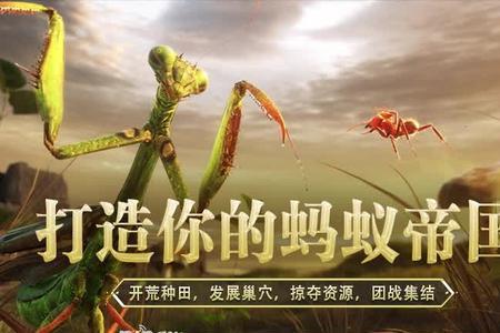 小小蚁国特殊队列是什么