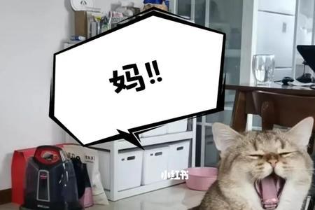 猫砂可以给苏卡达用吗