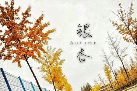 花兮若别离是什么意思