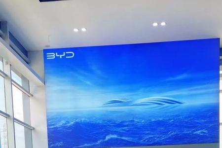 比亚迪海豚能安装自行车架吗