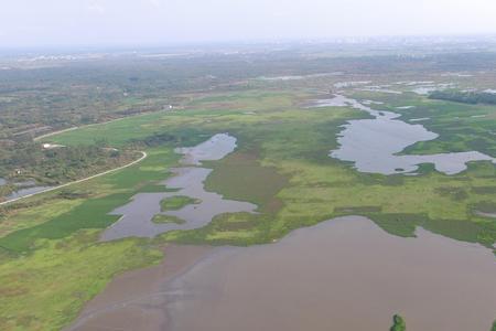 沼泽属于人工湿地吗