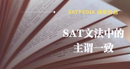 sat的动词原形