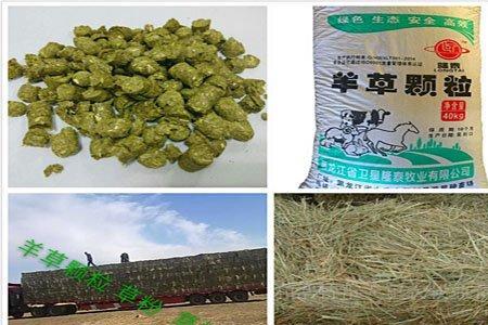 自制颗粒饲料喂牛的好处与坏处