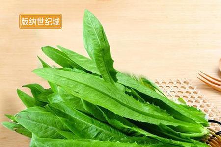 300g油麦菜有多少