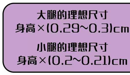 国际超模腿围标准