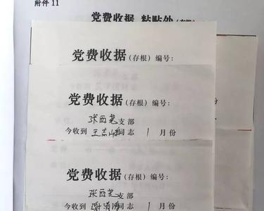 2万一个月交多少党费