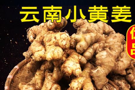 竹根姜和小黄姜是不是一个品种