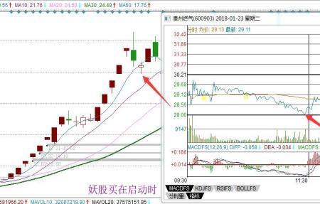 华森的条件反射称为什么