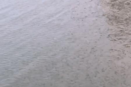水怪在江河里应钓多深
