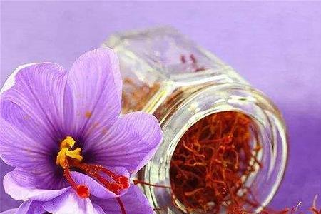 滇红花和藏红花的区别