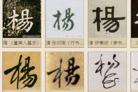 临渭区杨姓由来