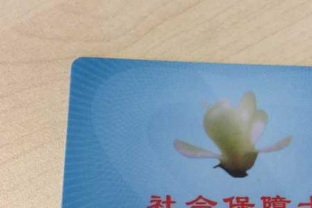 上海综合保险算不算医保