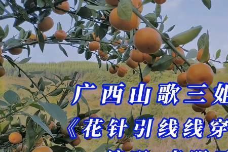 广西山歌有多少种调