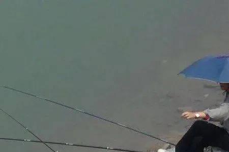 深中钓浅是什么意思
