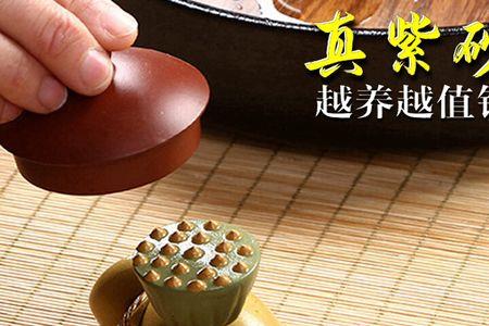 莲藕茶宠的寓意是什么