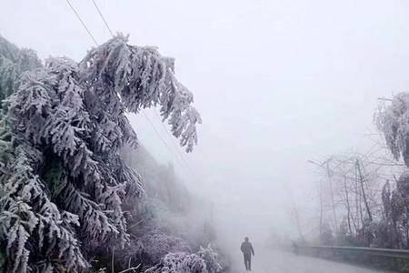 四川2023冬季会下雪吗
