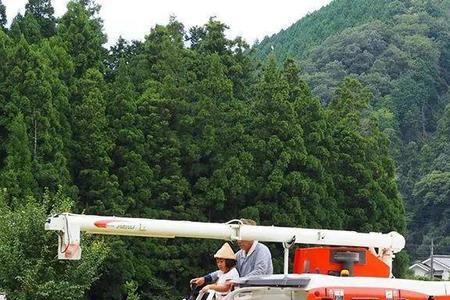 春耕夏种秋收冬藏全文